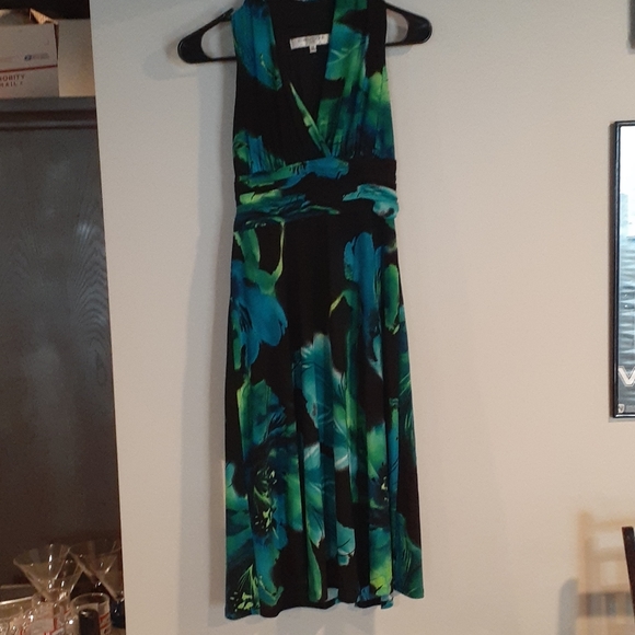 Evan Picone Dresses & Skirts - 🤑🤑Evan Picone Petite Halter styled Dress  4P